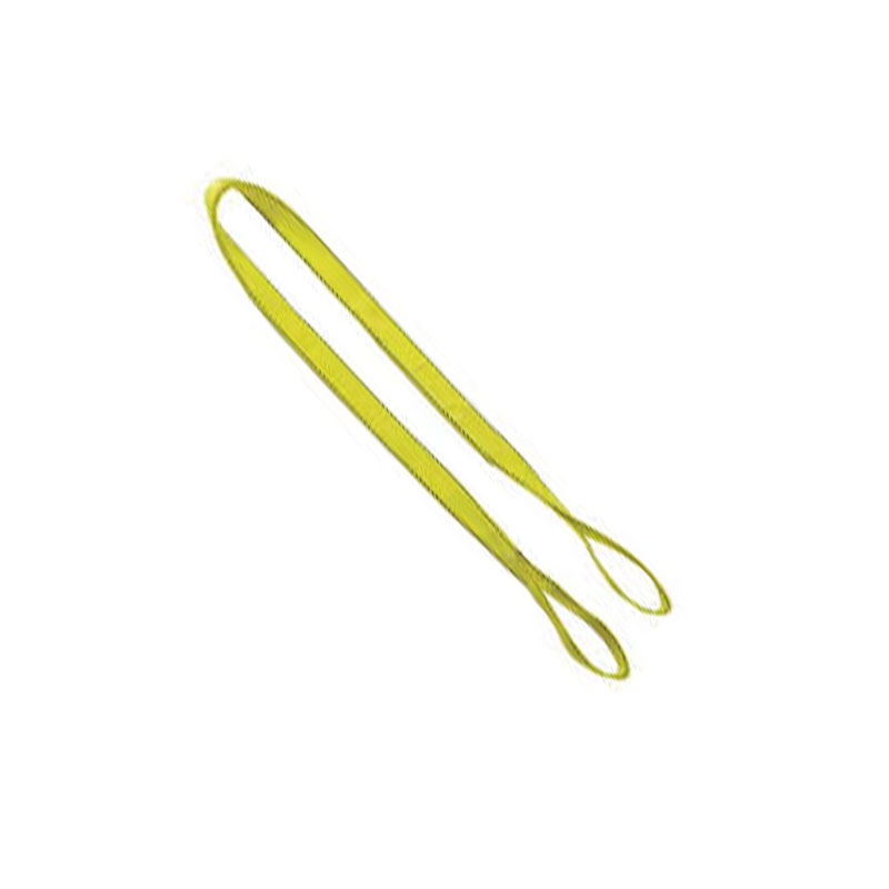 LT-LIIFEE292X10PI.jpg 2" X 10' Poly Web Sling (6400 Lbs) - Image 1