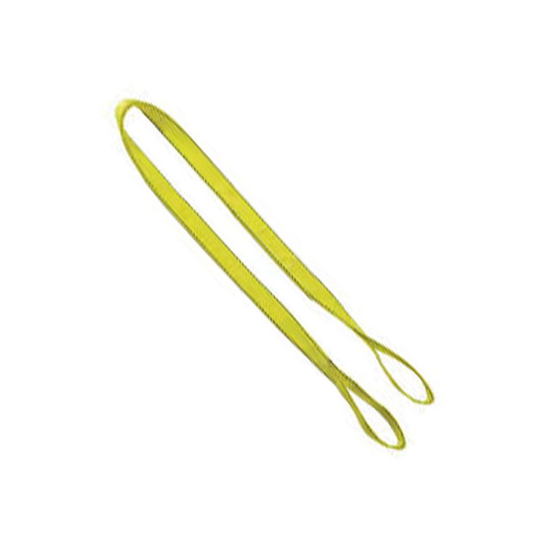 LTLIFEE292X12PI.jpg 2" X 12' Poly Web Sling (6400 Lbs) - Image 1