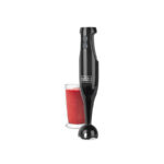 2 Speed Immersion Blender