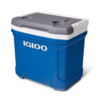 Cooler 16 Quart