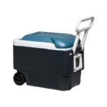 40 Qt Igloo MaxCold Cooler